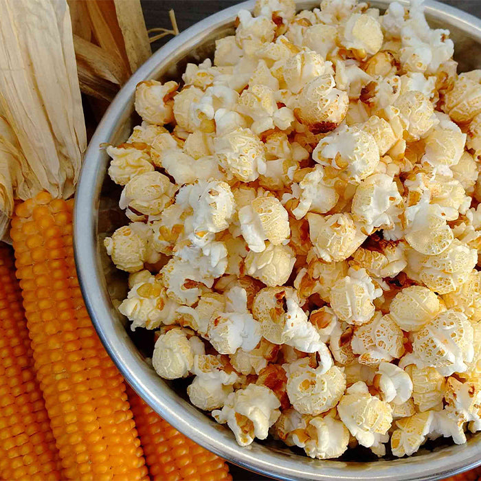 送料無料】農家さんのケトルコーンキット【Original Flavor