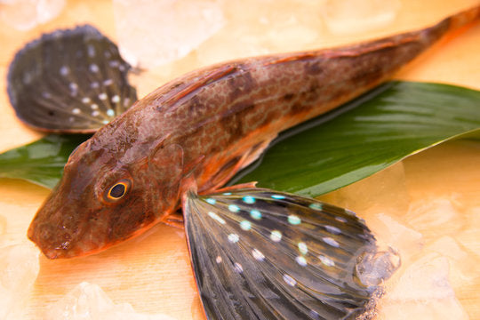 ほうぼうを食卓に！栄養満点で健康効果抜群の理由