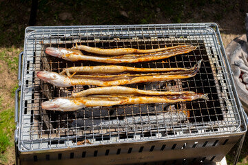 穴子は日本だけの食文化？世界のアナゴ料理を徹底解説！