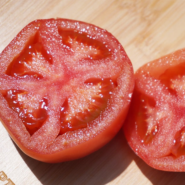 【トマトの栄養素】色が赤いのはリコピンのおかげ