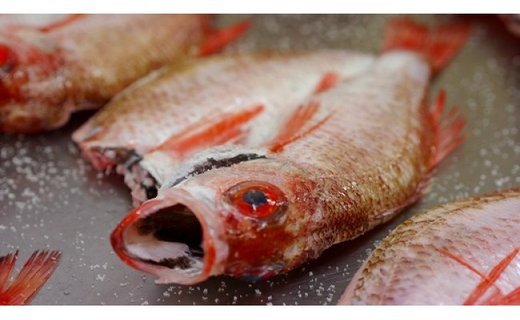 【高級魚「のどぐろ」の最も美味しい旬な季節とは？】島根県や石川県など有名な産地やのどぐろを美味しく食べる方法を解説