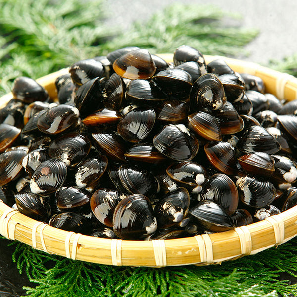 667400de9a8f6efc480f184adfa0b3